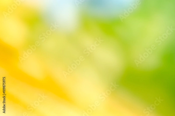 Obraz Abstract nature background.