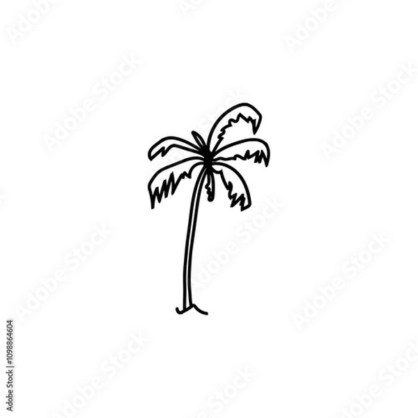 Obraz palm tree