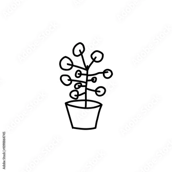 Obraz plant in a pot