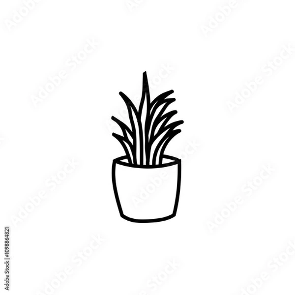 Obraz plant in a pot