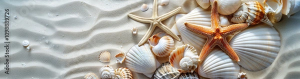 Fototapeta Shells and starfish on the sandy beach