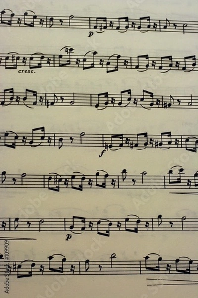 Fototapeta partitura