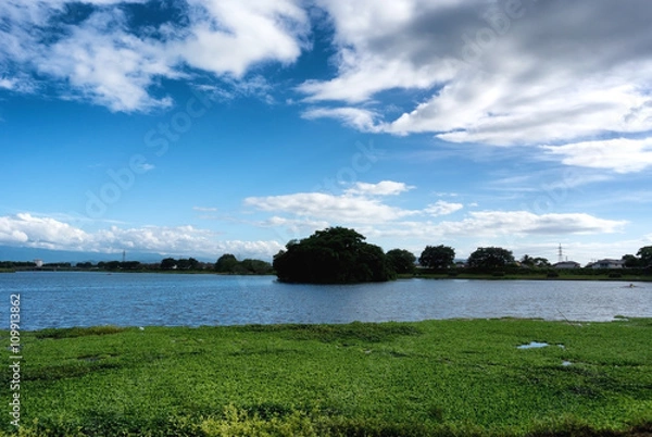 Obraz 静かな湖【江津湖｜熊本】