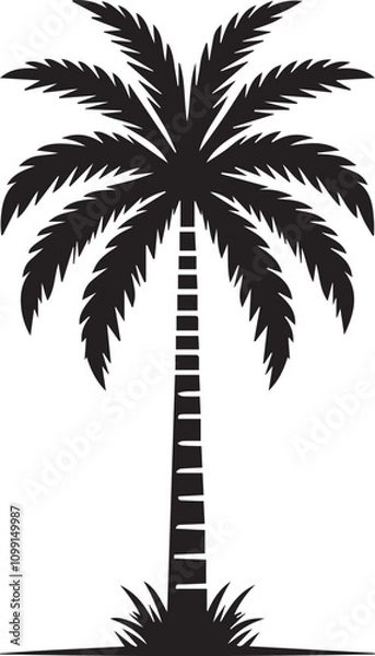 Obraz palm tree silhouette