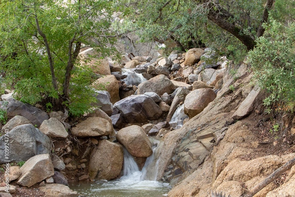 Obraz stream in the forest