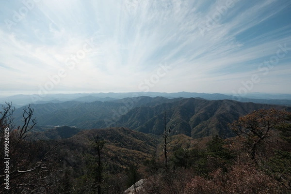 Fototapeta 대한민국 한반도 태백산맥의 산봉우리 정상에서 바라본 푸른 하늘의 구름과 가을 낙옆 단풍 나무숲 능선의 광활하고 시원한 풍경 배경화면