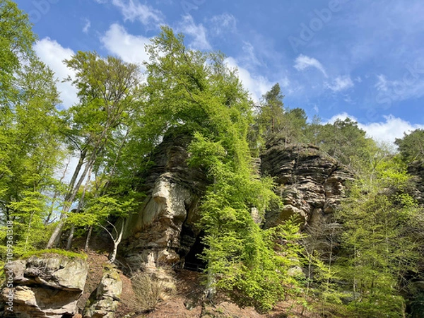 Fototapeta Huge rocks with moss and trees in the forest. Mullerthal region in Luxembourg