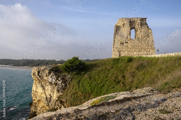 Fototapeta torre dell'orso