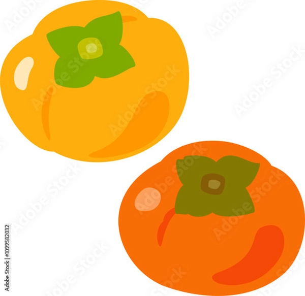 Fototapeta 固い柿と熟した柔らかい柿