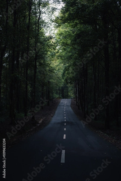 Obraz road in the forest