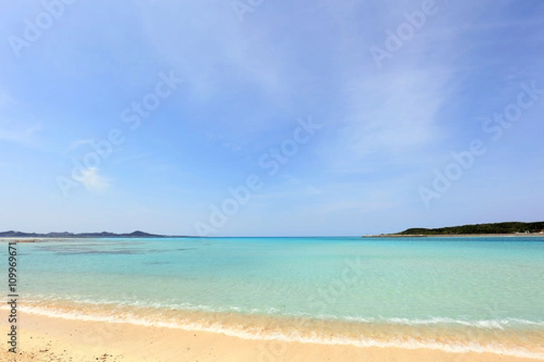 Fototapeta 美しい沖縄のビーチと夏空
