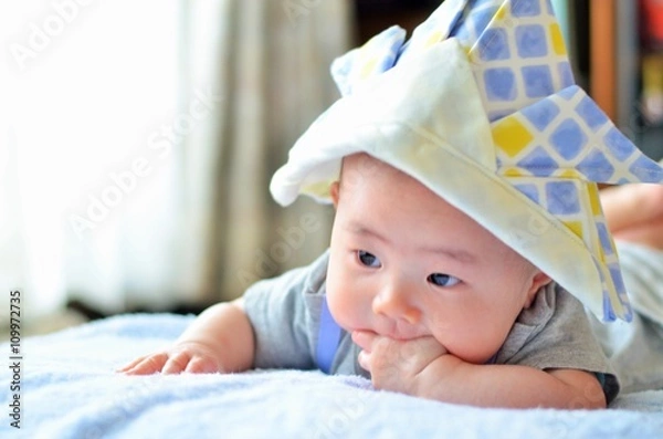 Fototapeta 端午の節句