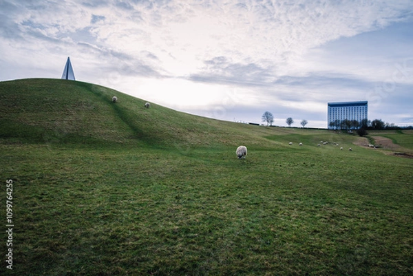Obraz A serene winter landscape of Campbell Park in Milton Keynes, featuring a small monument on a curvy hill, sheep grazing on a green slope, and a multistory car park in the distant background