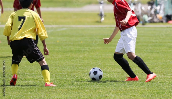 Fototapeta サッカー　フットボール