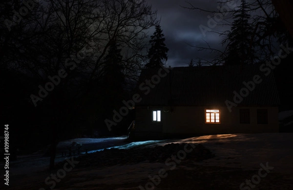 Obraz night snow landscape