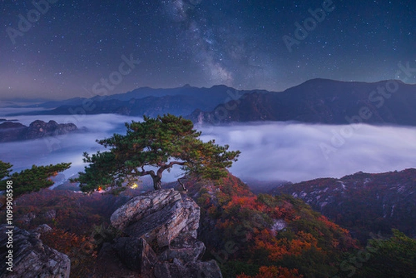 Fototapeta Autumn in Korea, Pine trees towering on the rocks atop Jebibong. at night, a sea of mist flows through the river in the valley In the autumn of Waraksan Mountain National Park, South Korea.