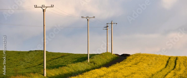 Fototapeta Słupy elektroenergetyczne w rolnictwie