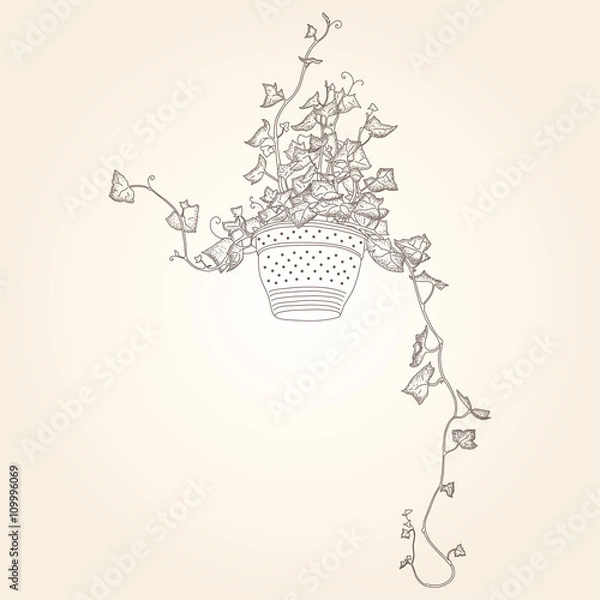 Fototapeta Drawing of green ivy in flowerpot. Abstract vector