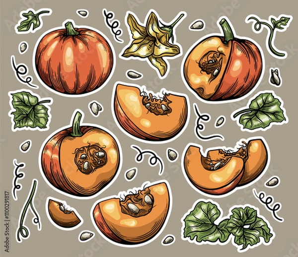 Fototapeta Botanical Sticker Set for Scrapbooking of pumpkin, leaves, flowers and seeds in vector hand drawn style, detailed autumn harvest halloween illustration. Vector stock illustration