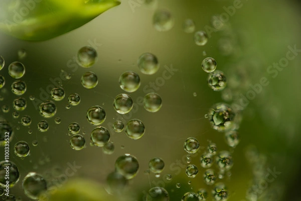 Obraz Water drops on a green background. Water droplets