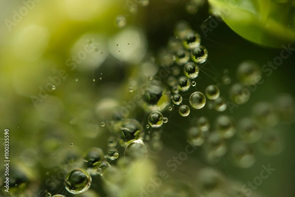 Obraz Water drops on a green background. Water droplets