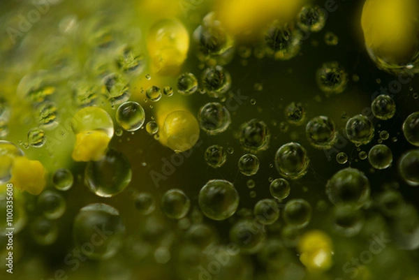 Obraz Water drops on a green background. Water droplets