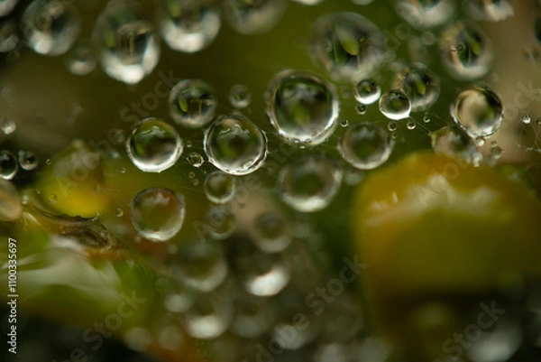 Obraz Water drops on a green background. Water droplets