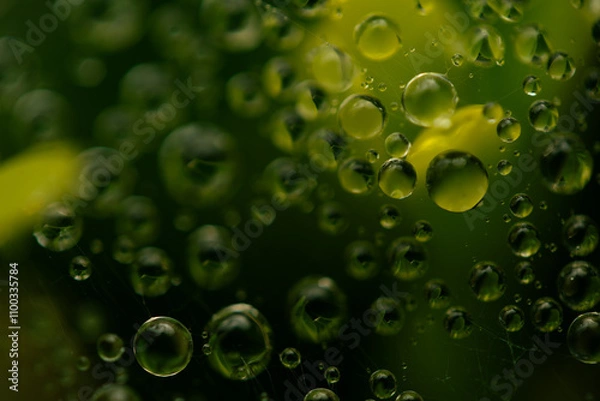 Obraz Water drops on a green background. Water droplets