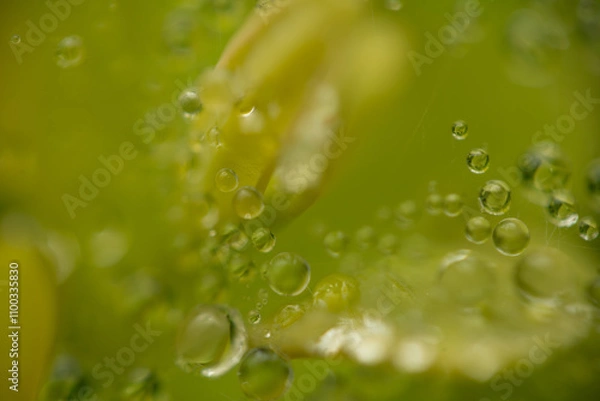 Obraz Water drops on a green background. Water droplets