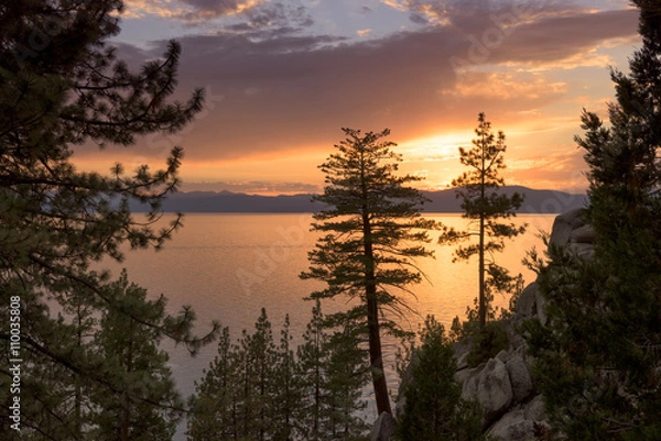 Fototapeta Sunset in Lake Tahoe, Nevada with pine trees in the foreground and light from the setting sun shimmering on the lake.