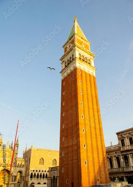 Fototapeta St. Mark's Campanile Tower in Venice with a Seagull in Flight