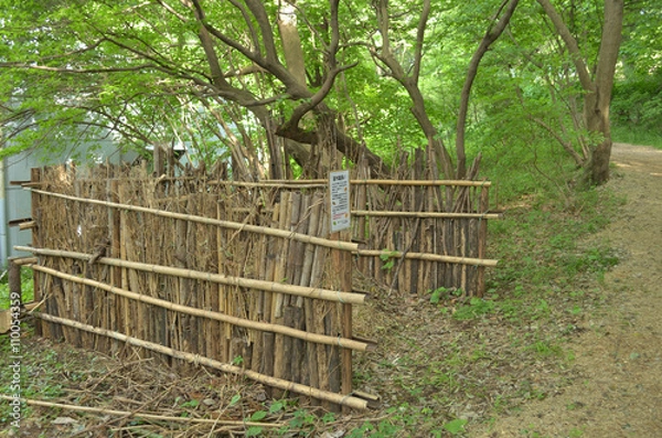 Obraz 落ち葉囲い