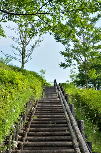 Obraz 青空に続く階段