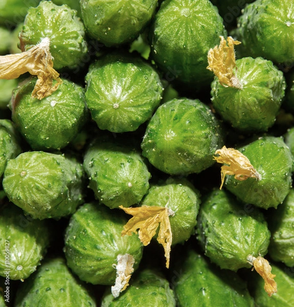 Fototapeta Cucumbers