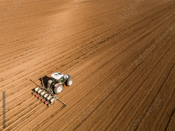 Obraz Tractor seeding crops in plowed field, agriculture industry