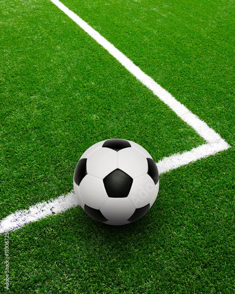 Fototapeta Soccer on the stadium