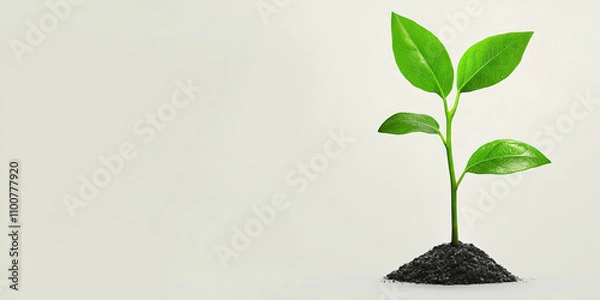 Fototapeta A small green plant sprouting from dark soil, symbolizing growth and new beginnings against a light background.