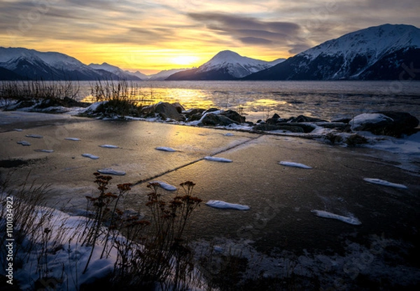 Fototapeta Frozen in Time