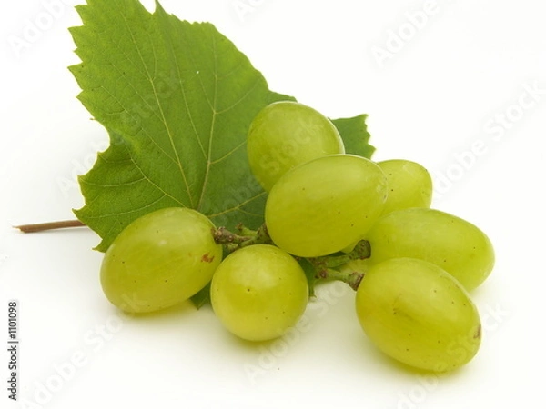 Obraz grape
