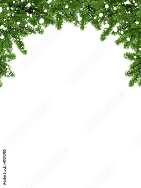 Obraz Coniferous frame