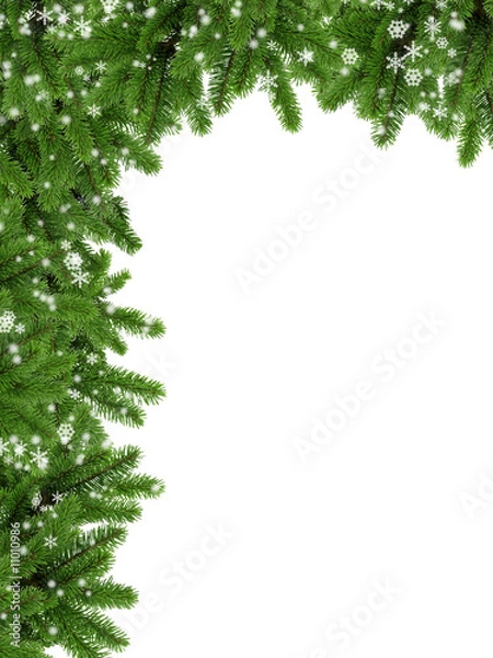 Obraz Coniferous frame