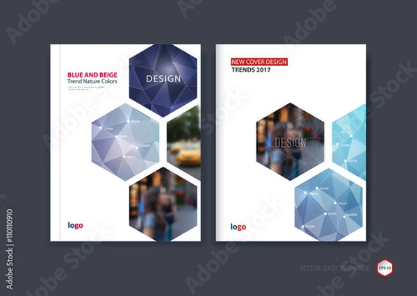 Fototapeta Abstract cover design, business brochure template layout, report