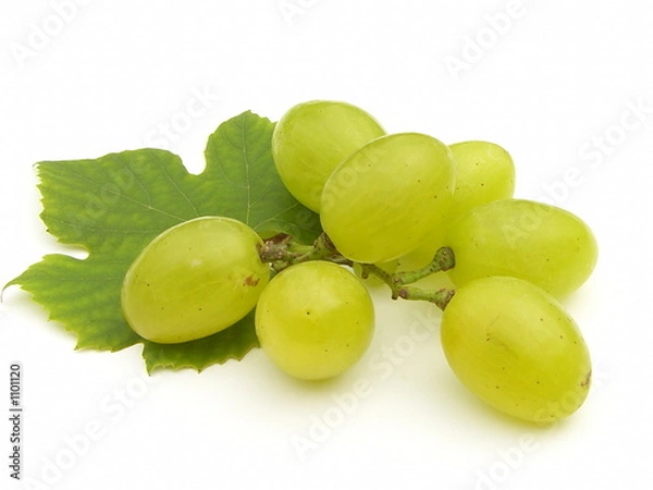 Obraz winogrono