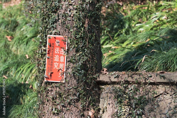 Obraz red tree in the garden