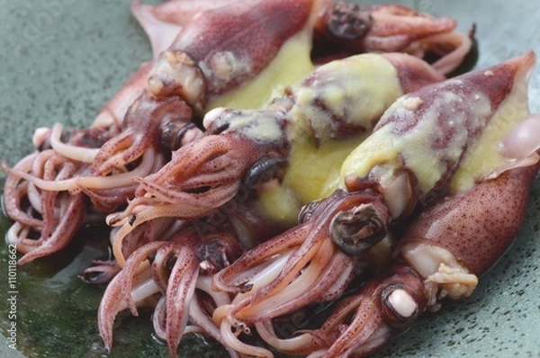 Fototapeta ホタルイカ