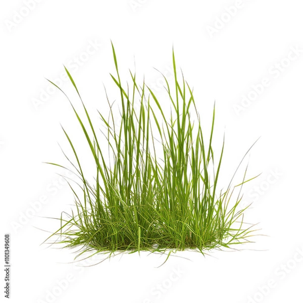 Fototapeta Reed Grass, Generative AI	