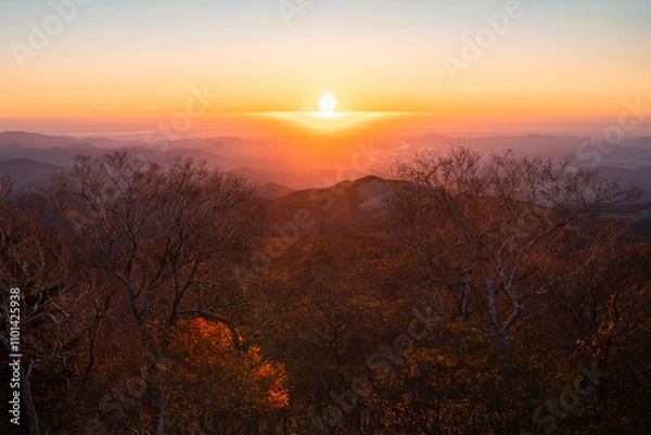 Obraz 金時山の山頂から見る日の出
