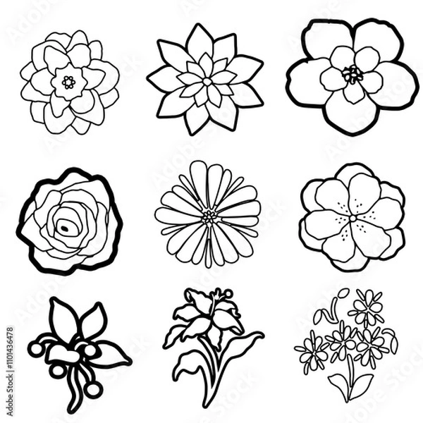 Fototapeta set of flowers