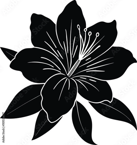 Fototapeta  Elegant Azalea Flower Silhouette Vector Design