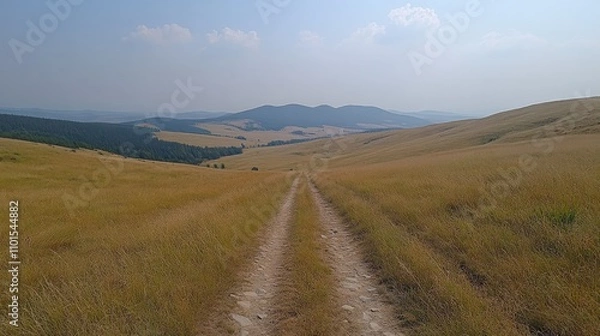 Obraz A serene dirt path winding through golden grasslands towards distant hills under a blue sky.